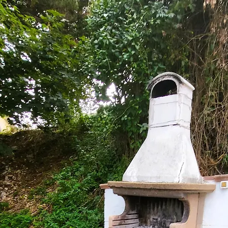 Daire Attico E Super Attico Panoramico